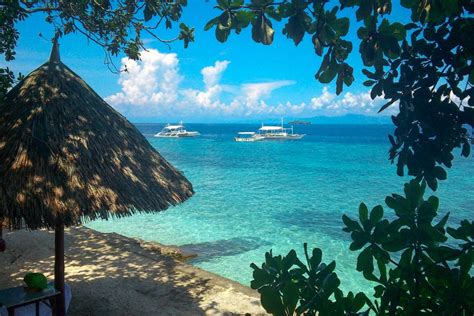 moalboal hotel|panagsama beach moalboal hotels.